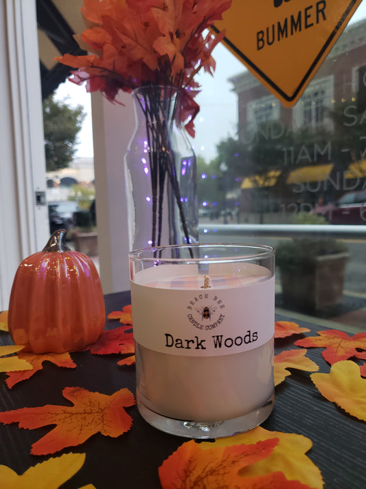 Beach Bee Candle Co.- Dark Woods Candle (9oz)