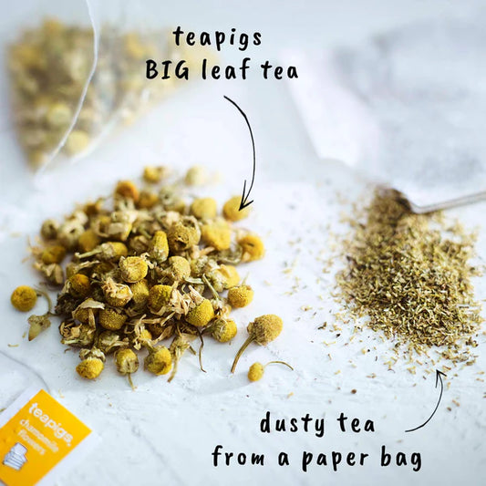 Teapigs Tea Temple - Flores de manzanilla (1 bolsa)