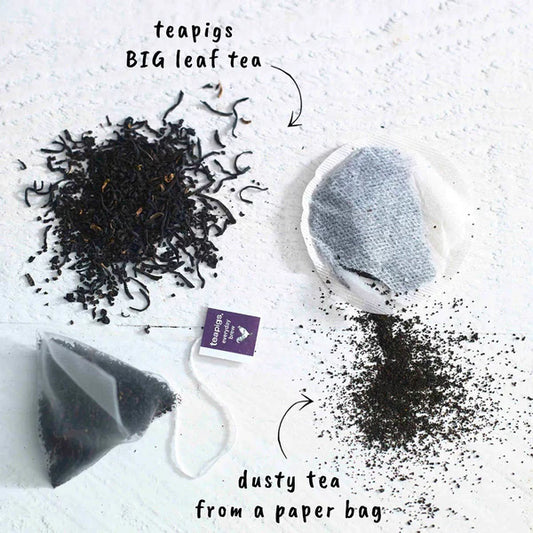 Teapigs Tea Temples - English Breakfast (1 bag)