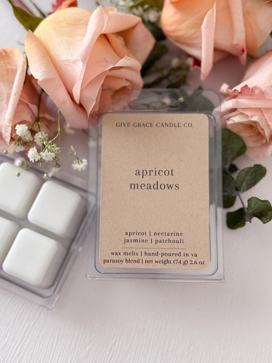 Give Grace Candle Co. - Apricot Meadows Wax Melts