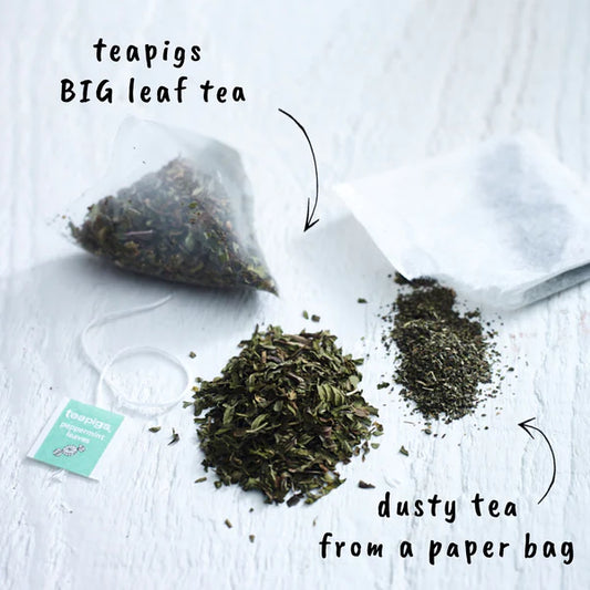 Teapigs Tea Temples- Hojas de menta (1 bolsa)